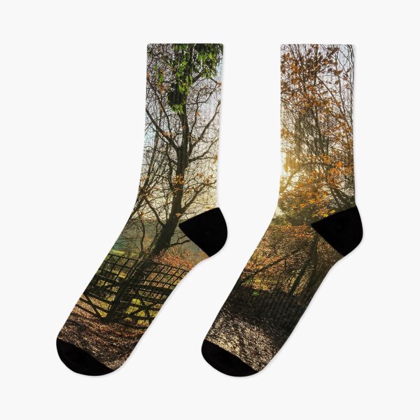 Item preview, Winter Light. designed and sold by ScenicViewPics.