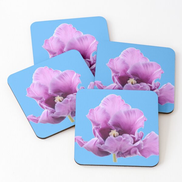 Item preview, Tulipa 'Blue Parrot' Parrot Group Tulip designed and sold by Chris Burrows.