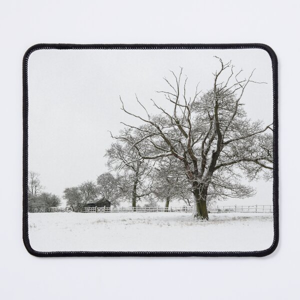 Item preview, Branching Out in Winter designed and sold by mhfore.