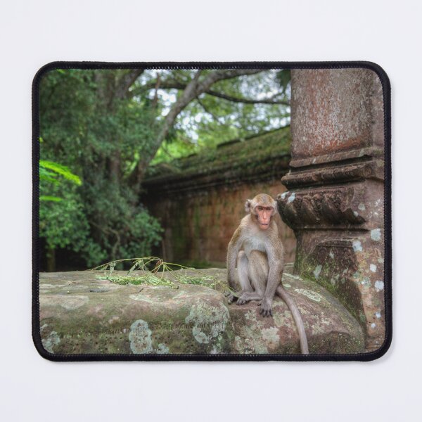 Item preview, Monkey of Angkor Wat Cambodia designed and sold by tpixx.