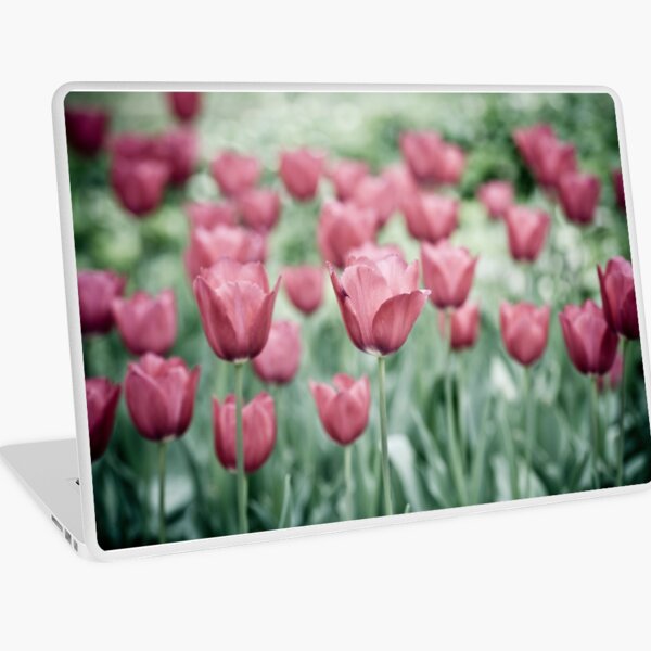 Pink Tulip Field Laptop Skin