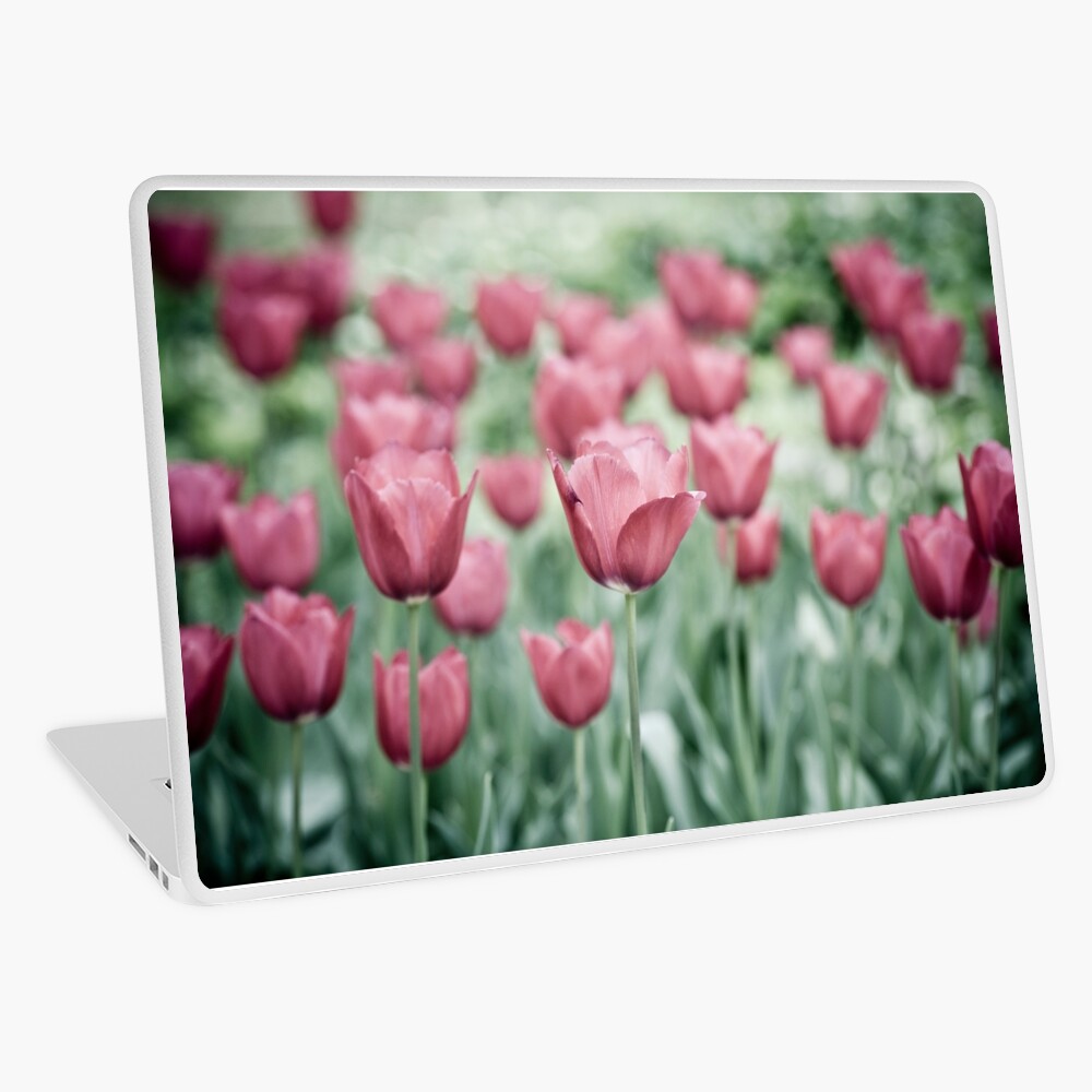 Pink Tulip Field Laptop Skin