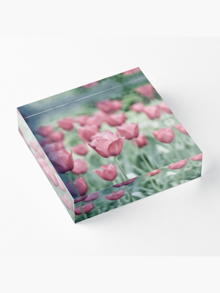 Alternate view of Pink Tulip Field Acrylic Block