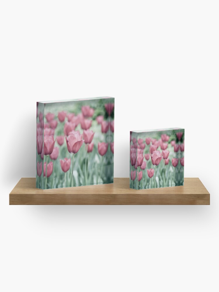 Alternate view of Pink Tulip Field Acrylic Block