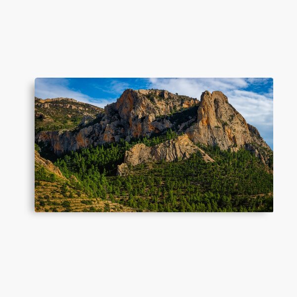 Canvas Print