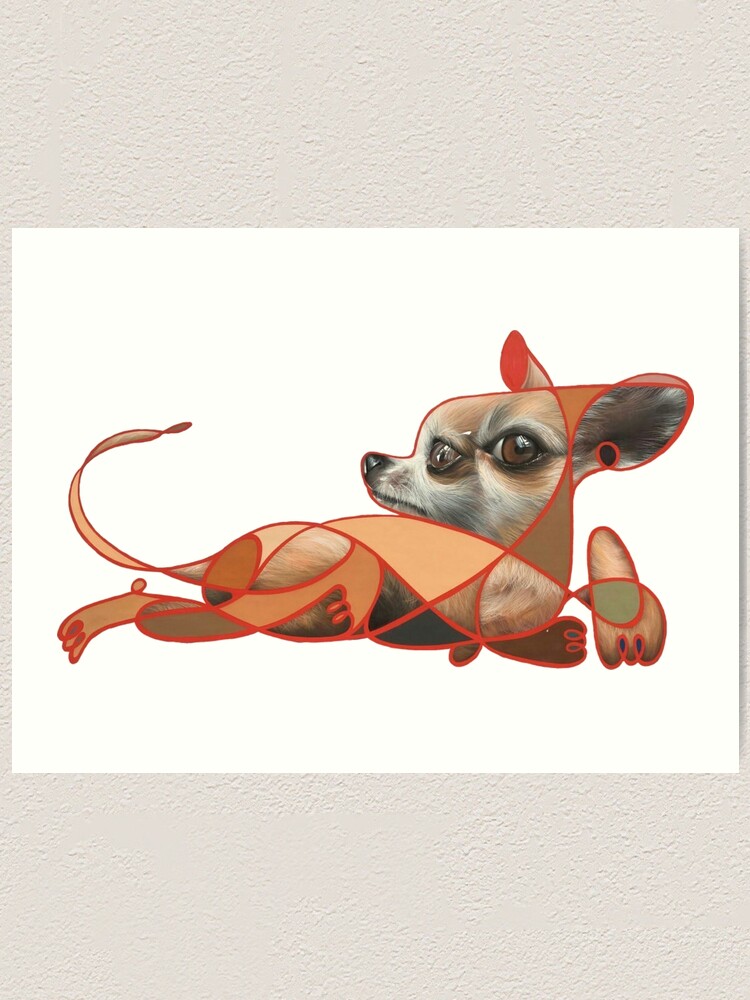 picasso chihuahua