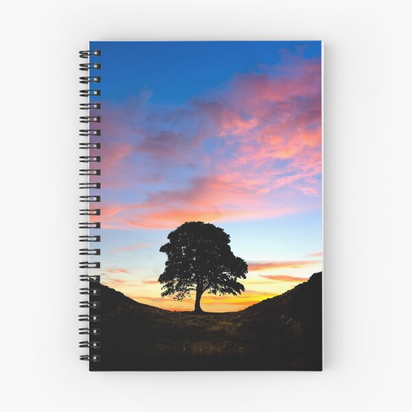 Item preview, Sycamore Gap designed and sold by Alisonchambers2.