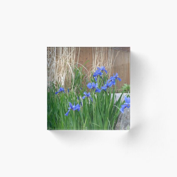 CURB APPEAL Acrylic Block