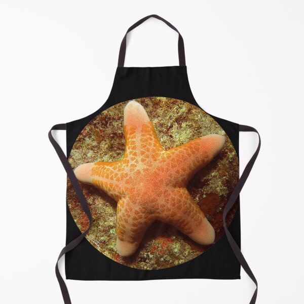 Item preview, Sea Star designed and sold by amosgazit.