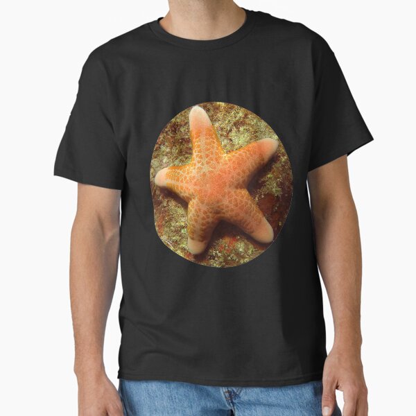 Item preview, Sea Star designed and sold by amosgazit.