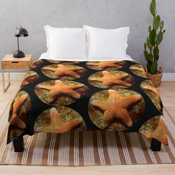 Item preview, Sea Star designed and sold by amosgazit.
