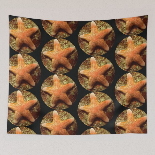 Item preview, Sea Star designed and sold by amosgazit.