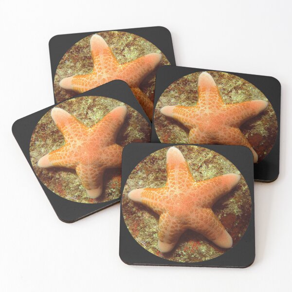 Item preview, Sea Star designed and sold by amosgazit.