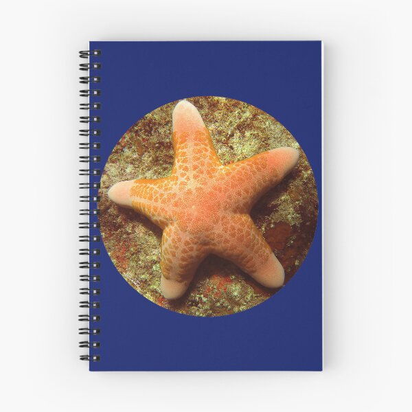 Item preview, Sea Star designed and sold by amosgazit.