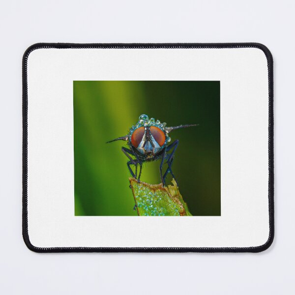 Item preview, Fly designed and sold by Shadow3561.