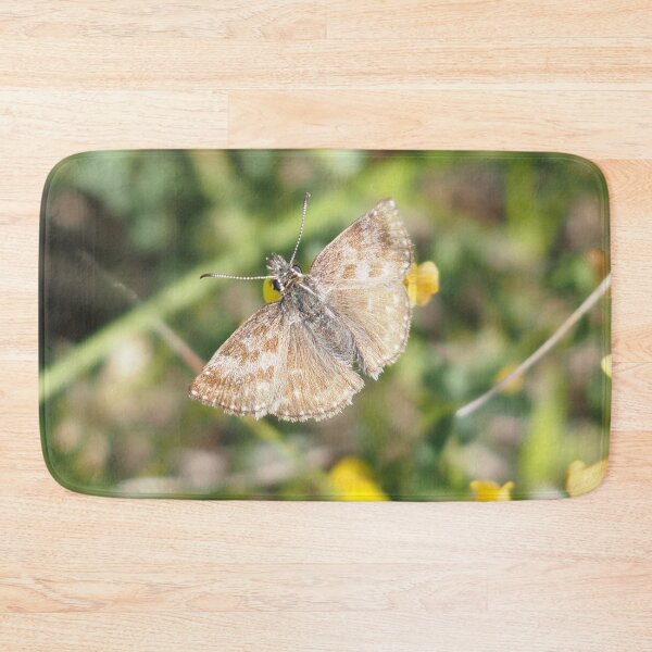 Item preview, Little brown butterfly hesperiidae designed and sold by Syr'photographies.