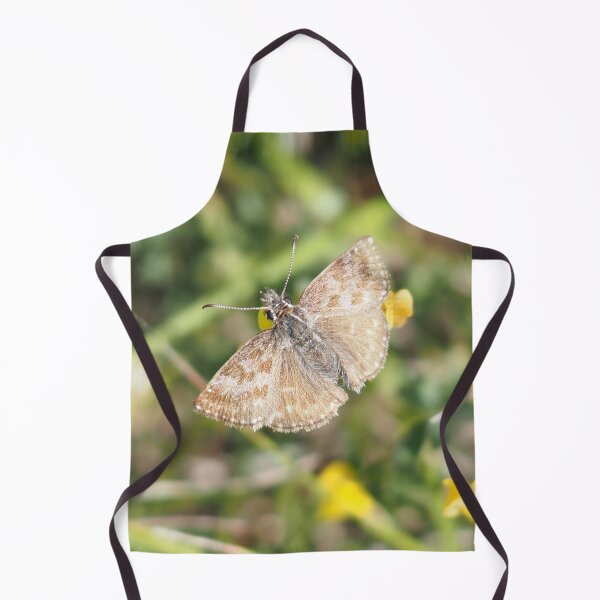 Item preview, Little brown butterfly hesperiidae designed and sold by Syr'photographies.