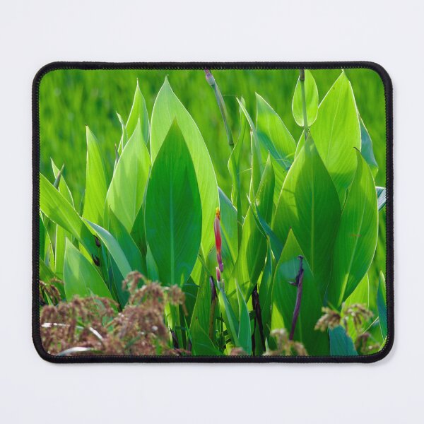 Item preview, Green Leaves designed and sold by GuruKde.