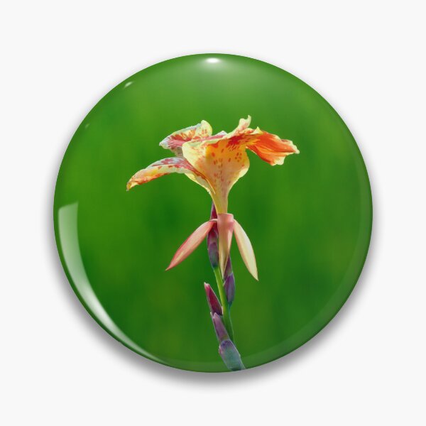 Artikelvorschau, Gelbe Blume (Canna Indica) entworfen und verkauft von GuruKde.