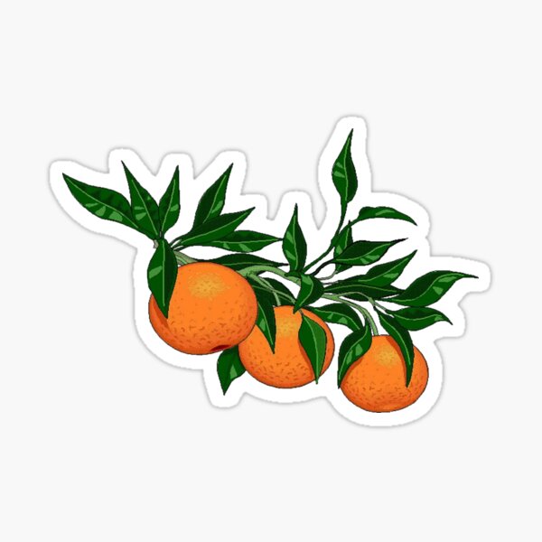 Mandarin Orange Merch & Gifts for Sale