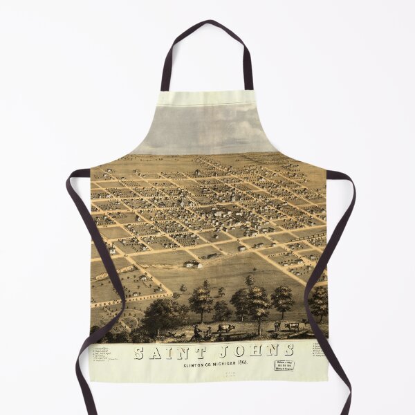Item preview, Saint Johns, Michigan (1868) designed and sold by allhistory.