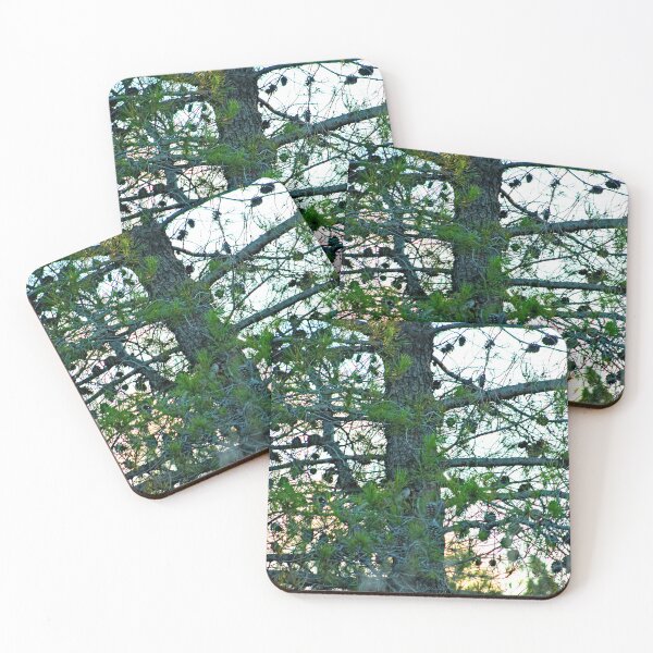 Item preview, Pine Tree with Pine Cones at Sunset Closeup designed and sold by worldways.