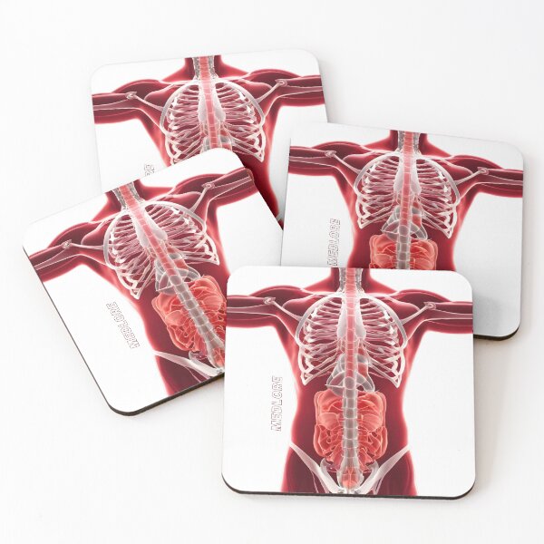 Item preview, Red Body designed and sold by MedLore.