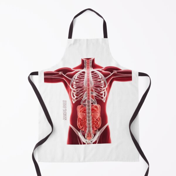 Item preview, Red Body designed and sold by MedLore.