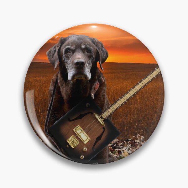 Artikelvorschau, Bringen Sie einem alten Hund neue Tricks bei – Gitarre entworfen und verkauft von Kalymi.