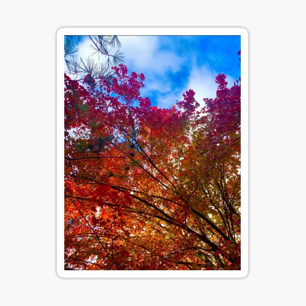 Item preview, Red Autumn Leaves designed and sold by MerikuroCreates.