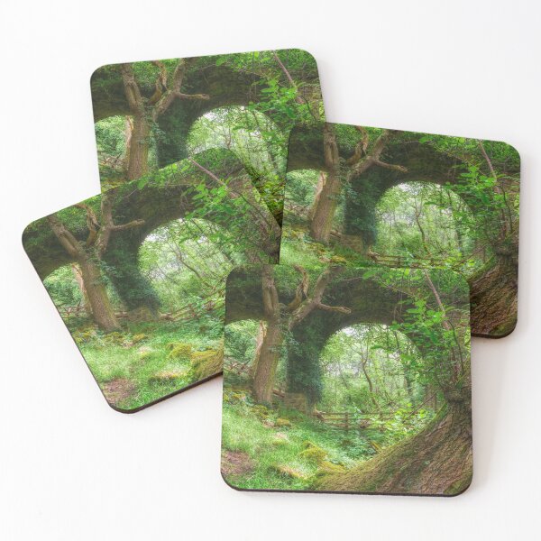 Item preview, Abandoned Viaduct at Hoghton Bottoms, Preston, Lancashire, UK (Nature Taking Over) designed and sold by Shafiq Khan.