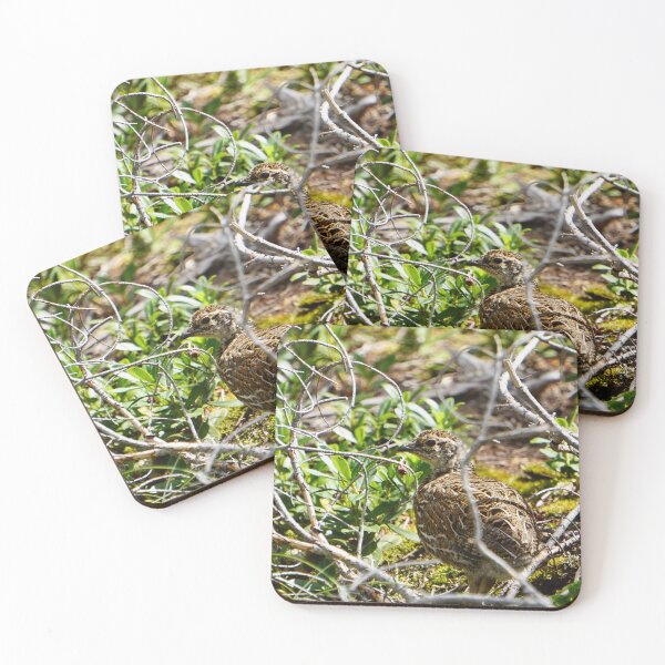 Item preview, Spruce Grouse Chick in the Bitterroots designed and sold by Raulworks.