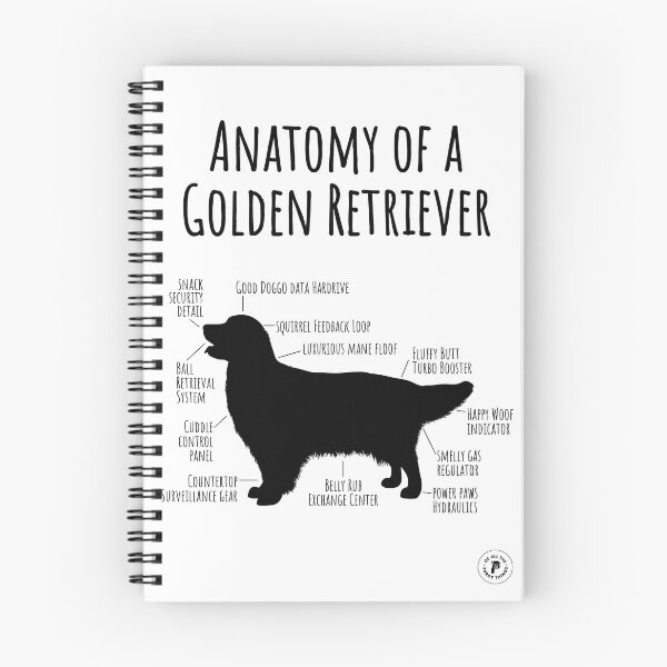 Item preview, Anatomy of a Golden Retriever designed and sold by PurdyThings.