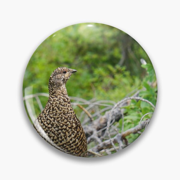 Item preview, Spruce Grouse in the Bitteroots designed and sold by Raulworks.