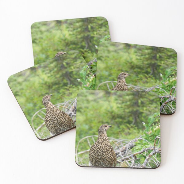 Item preview, Spruce Grouse in the Bitteroots designed and sold by Raulworks.