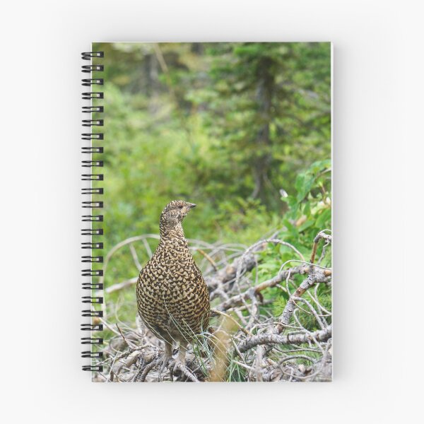 Item preview, Spruce Grouse in the Bitteroots designed and sold by Raulworks.