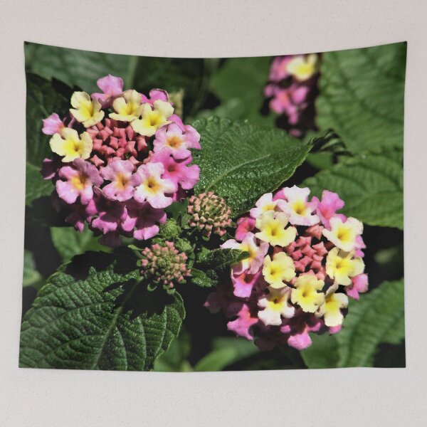 Item preview, Mr. & Mrs. Lantana and The Twins designed and sold by Len Bomba.