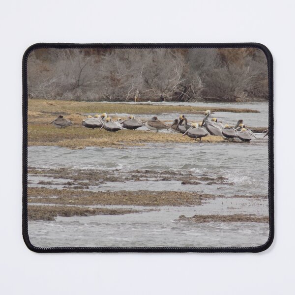 Item preview, Pelicans designed and sold by Wolfie-Rose.