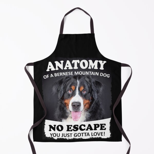 Artikelvorschau, Anatomie eines Berners - Berner-Liebhaber-T-Shirt entworfen und verkauft von irek07.