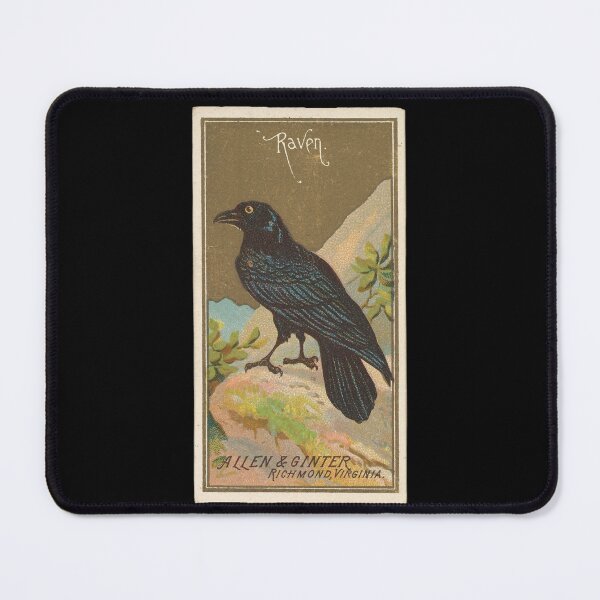 Item preview, Traditional American Raven designed and sold by AnimaliaStar.