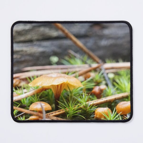Item preview, Orange Moss Navel Vertical designed and sold by Raulworks.