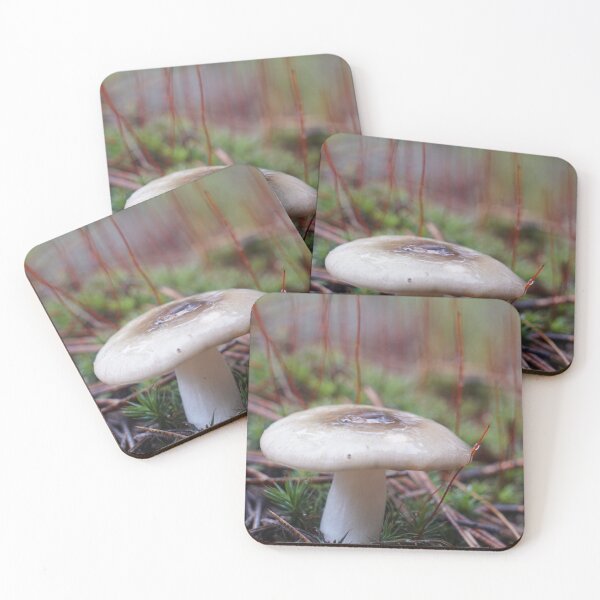Item preview, Mossy Mushroom designed and sold by Raulworks.