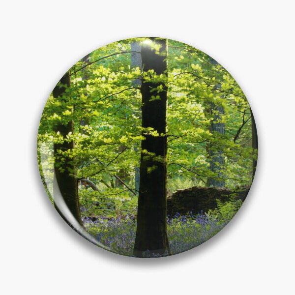 Item preview,  Digital Photograph Sunlit bluebell beech woodland Snowshill Cotswolds Gloucestershire  designed and sold by SimonJohnson1.