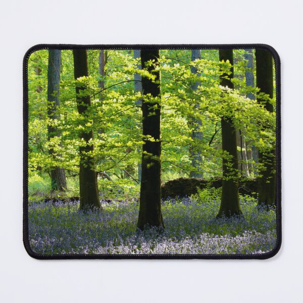 Item preview,  Digital Photograph Sunlit bluebell beech woodland Snowshill Cotswolds Gloucestershire  designed and sold by SimonJohnson1.