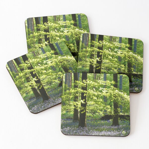 Item preview, Digital Photographs  of sunlit leaves and Bluebells designed and sold by SimonJohnson1.