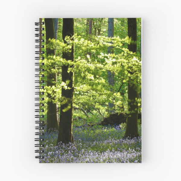 Item preview, Digital Photographs  of sunlit leaves and Bluebells designed and sold by SimonJohnson1.