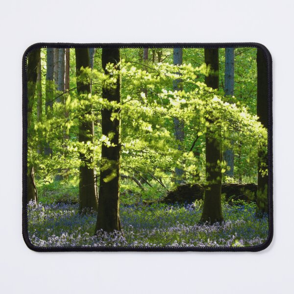 Item preview, Digital Photographs  of sunlit leaves and Bluebells designed and sold by SimonJohnson1.
