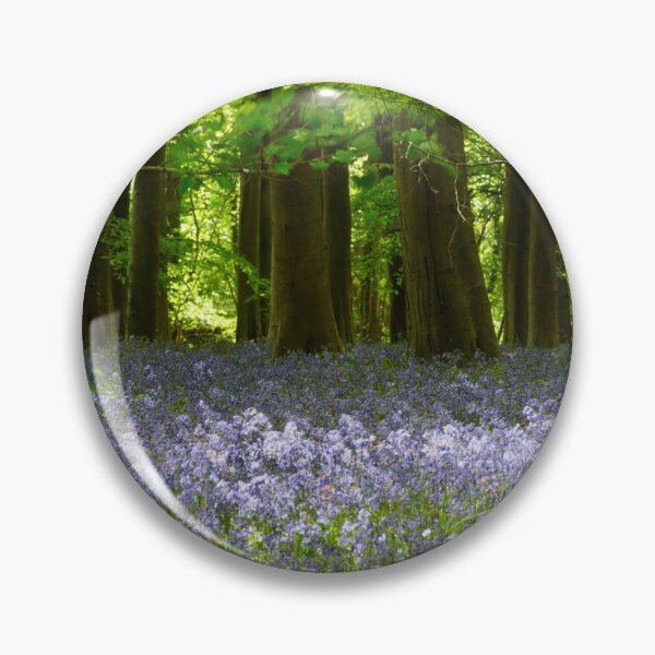 Item preview, Digital Photograph, Sunlit bluebell beech woodland designed and sold by SimonJohnson1.
