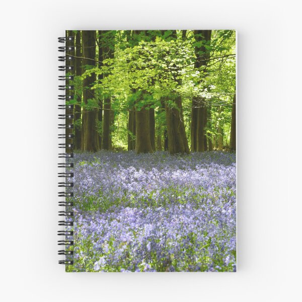 Item preview, Digital Photograph, Sunlit bluebell beech woodland designed and sold by SimonJohnson1.
