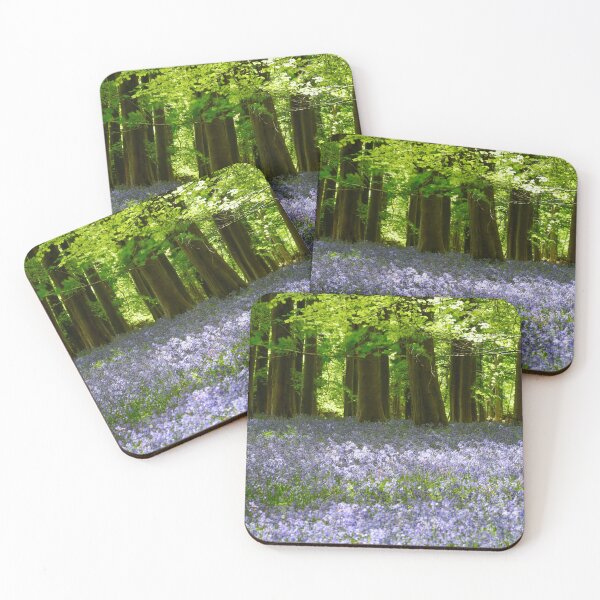 Item preview, Digital Photograph, Sunlit bluebell beech woodland designed and sold by SimonJohnson1.